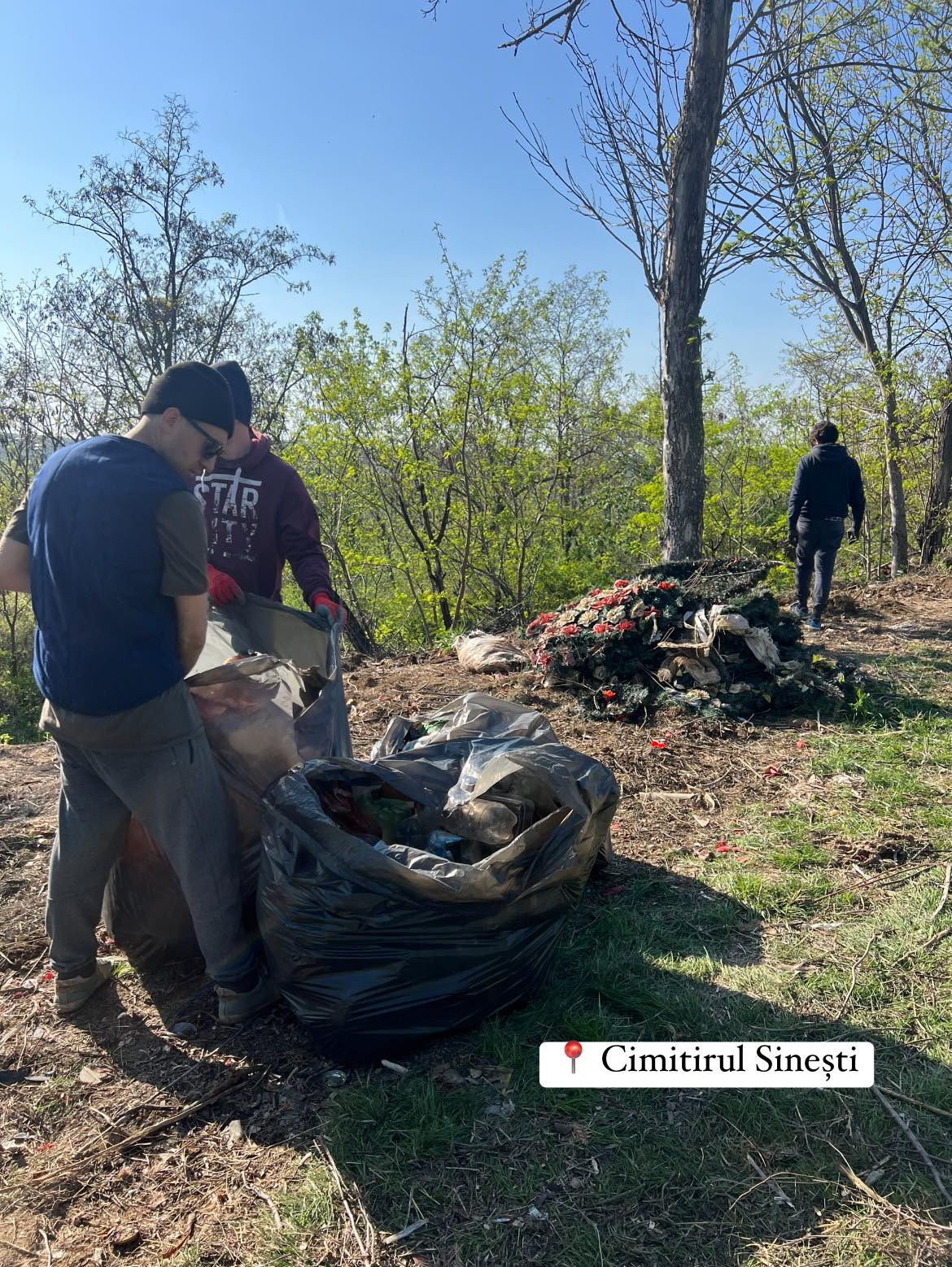 Ecologizarea cimitirului Sinești 2024